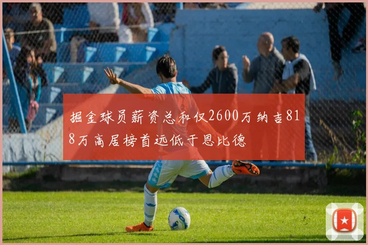 掘金球员薪资总和仅2600万纳吉818万高居榜首远低于恩比德