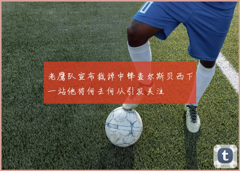 老鹰队宣布裁掉中锋查尔斯贝西下一站他将何去何从引发关注